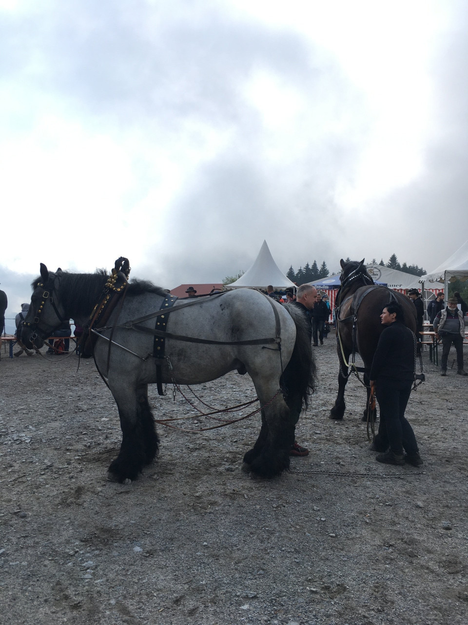 12. Offene Bayrische Meisterschaft in St Englmar