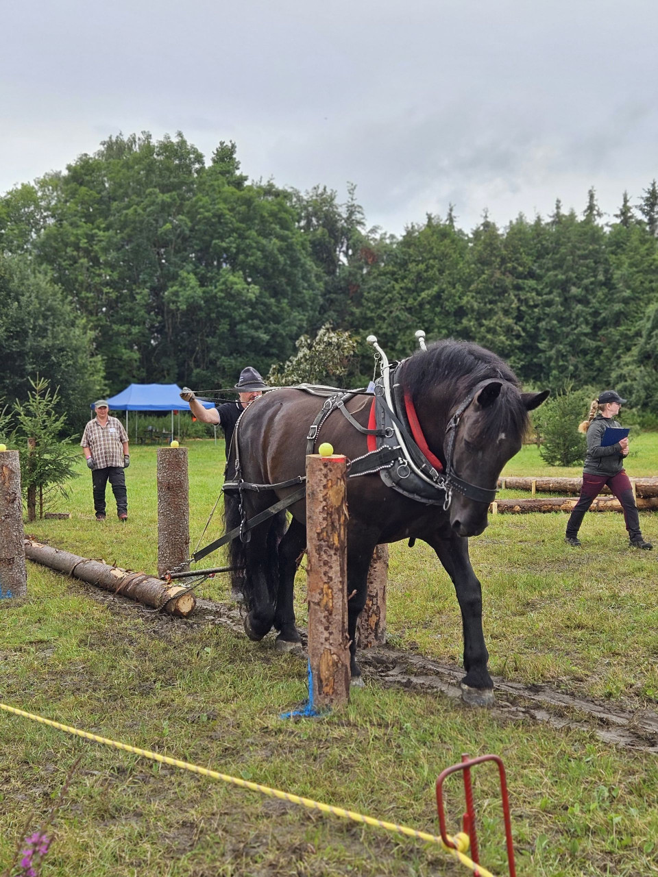 13. Offene Bayerische Meisterschaft in Bad Wörishofen