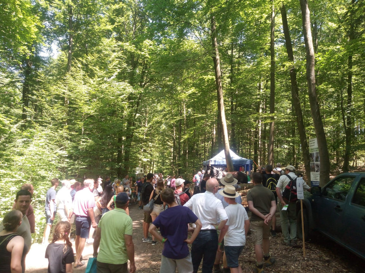 Bayerischer Waldtag in Kelheim