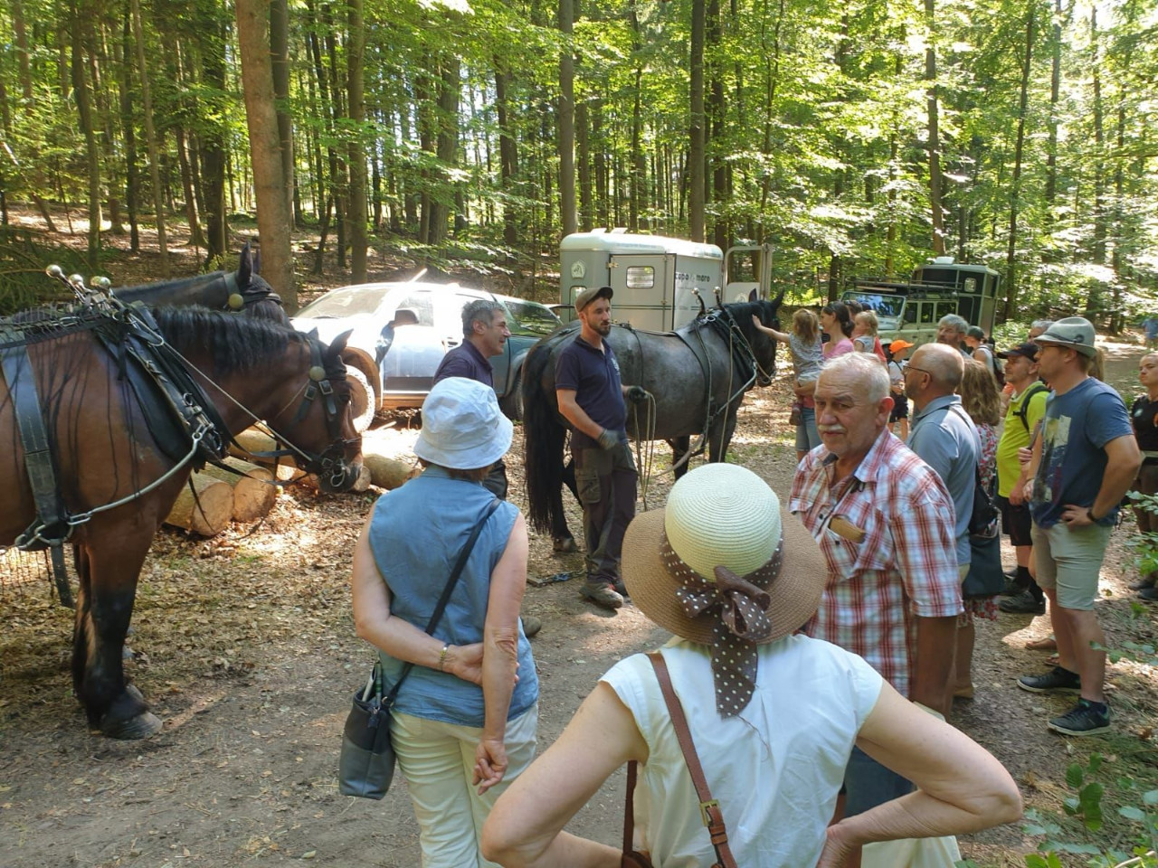 Bayerischer Waldtag in Kelheim