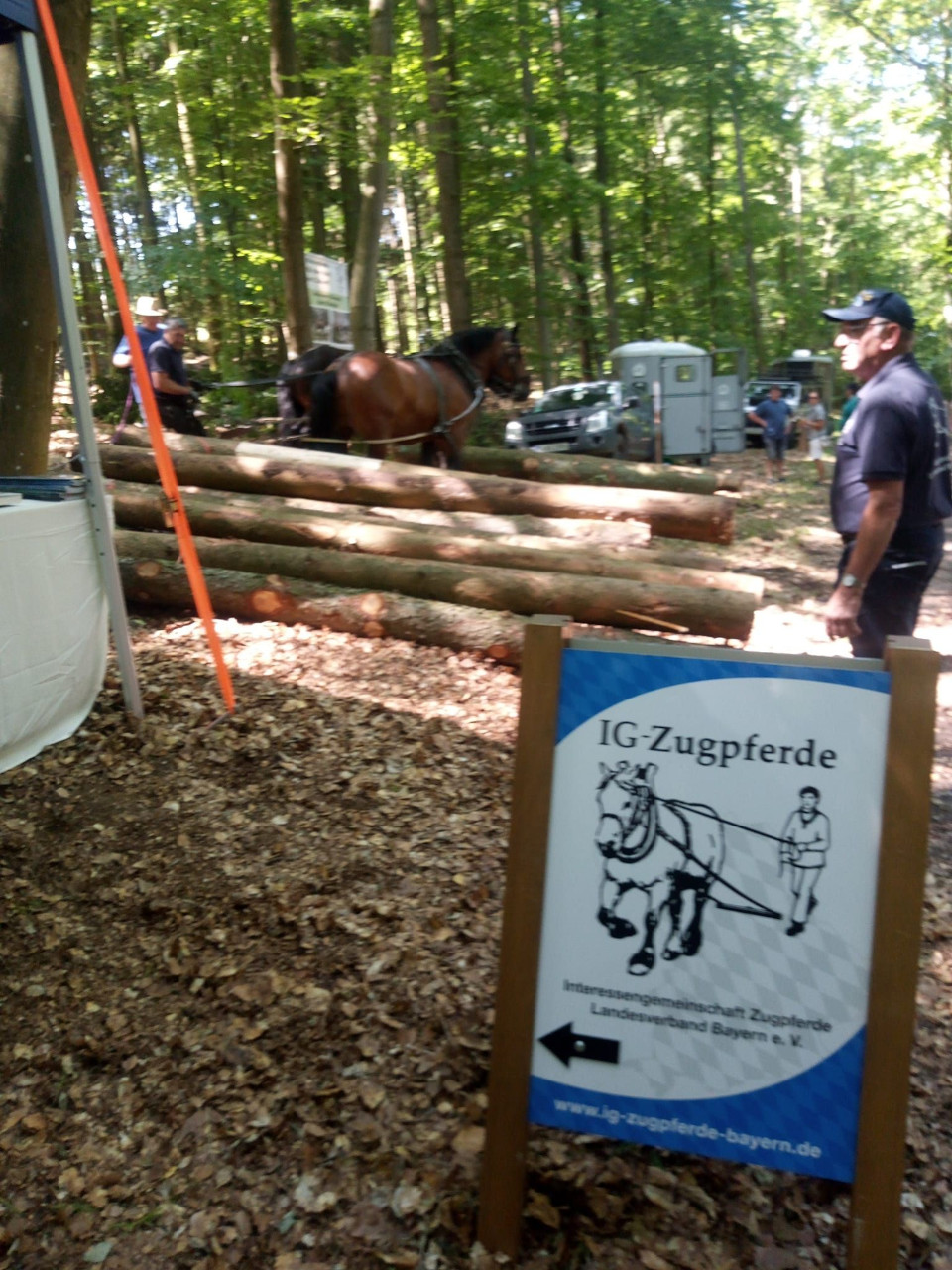 Bayerischer Waldtag in Kelheim