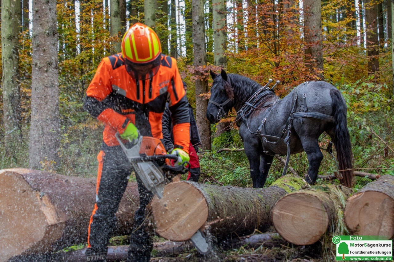 <img alt="" src="/user/pages/06.rueckblicke/der-bayrische-waldbesitzer/2021_11_02_IMG_085234_Pferderückung_1000_1500-41c64401?name" />