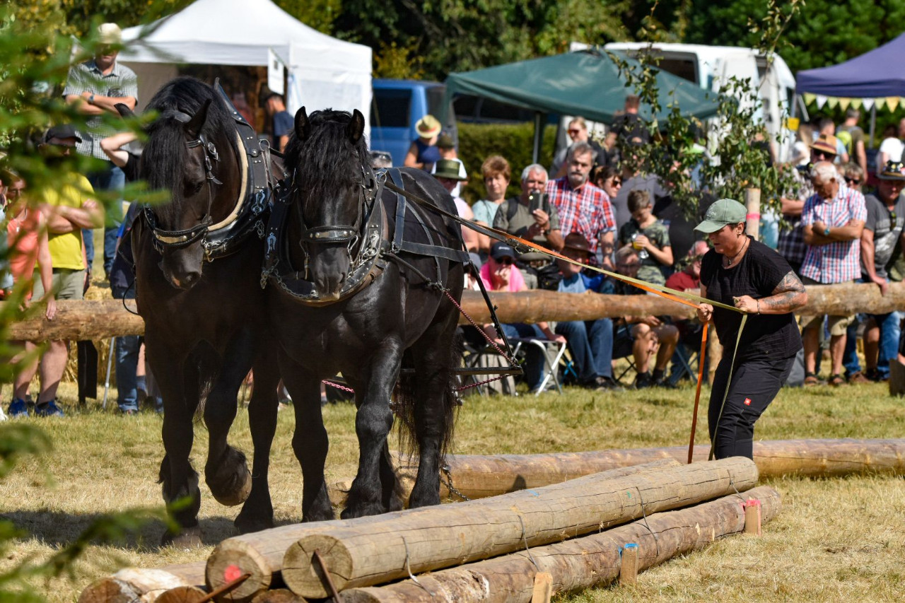Deutsche Meisterschaft der Holzrücker 2024