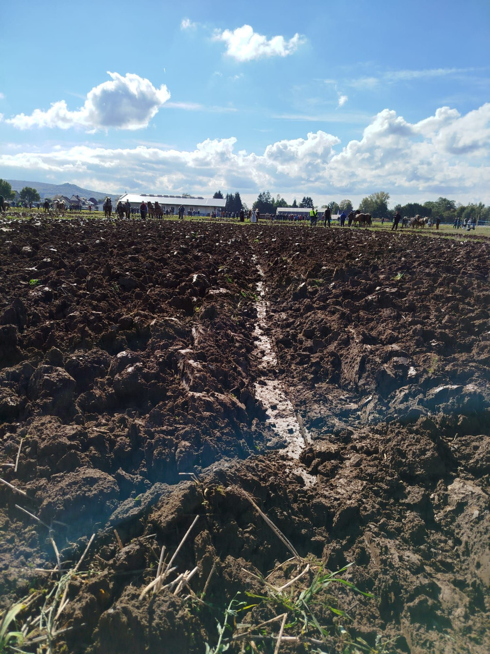 Deutsche Meisterschaft im Pflügen 2024