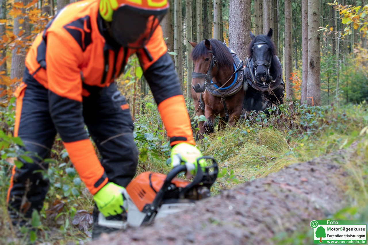 Einladung der Hochschule Weihenstephan-Triesdorf