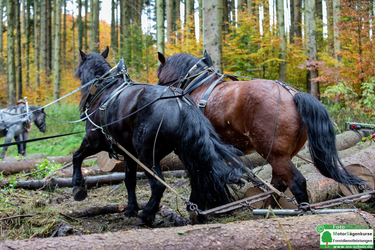 Einladung der Hochschule Weihenstephan-Triesdorf