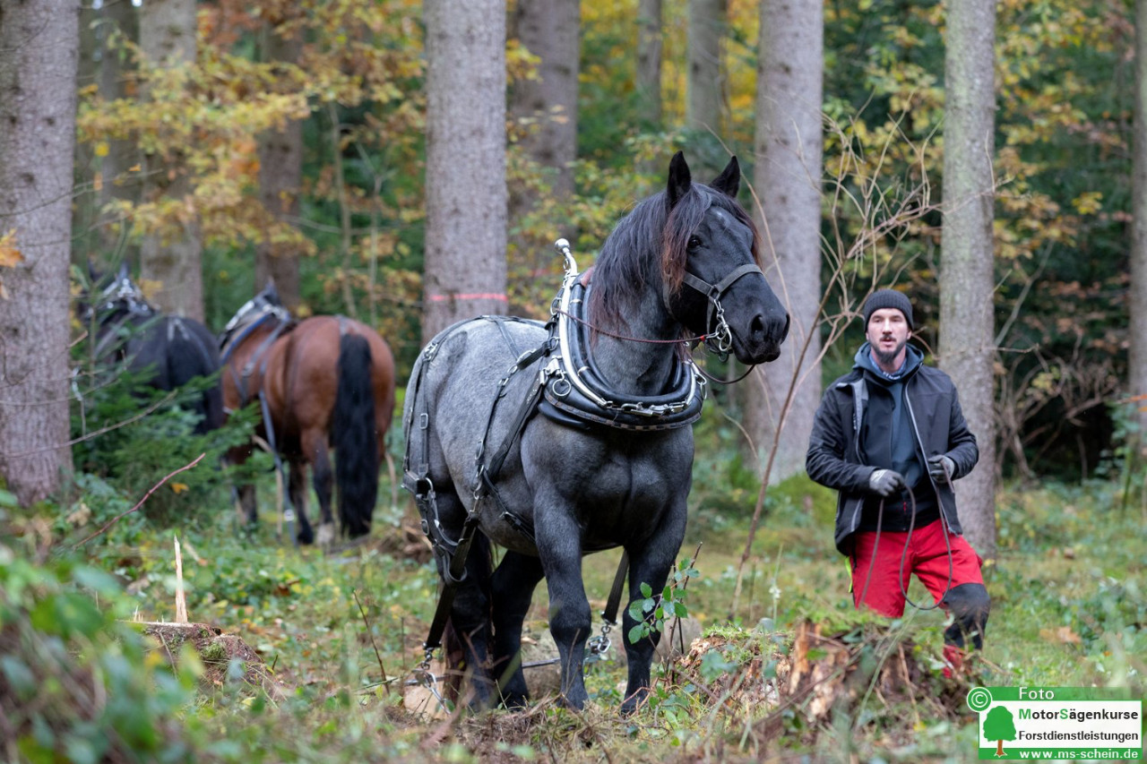 Einladung der Hochschule Weihenstephan-Triesdorf