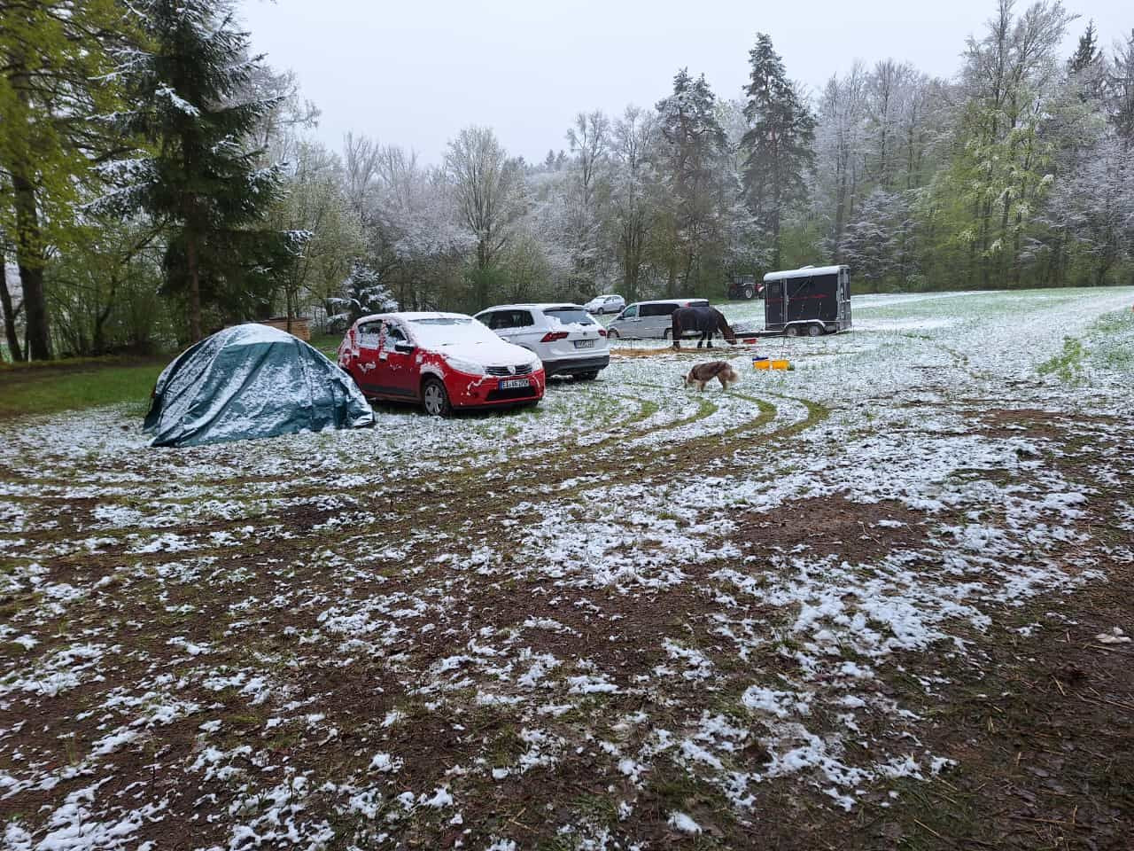 Fuhrmannstreffen der IGZ-Bayern