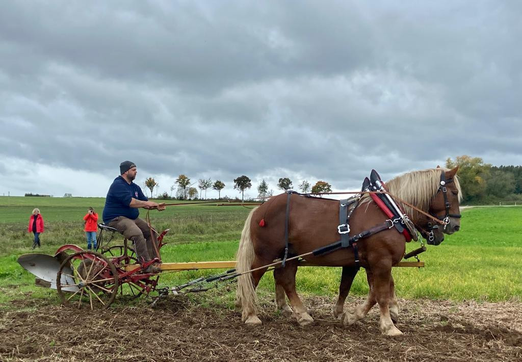Fuhrmannstreffen in Freystadt
