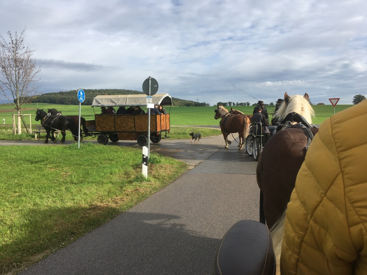 Fuhrmannstreffen in Freystadt