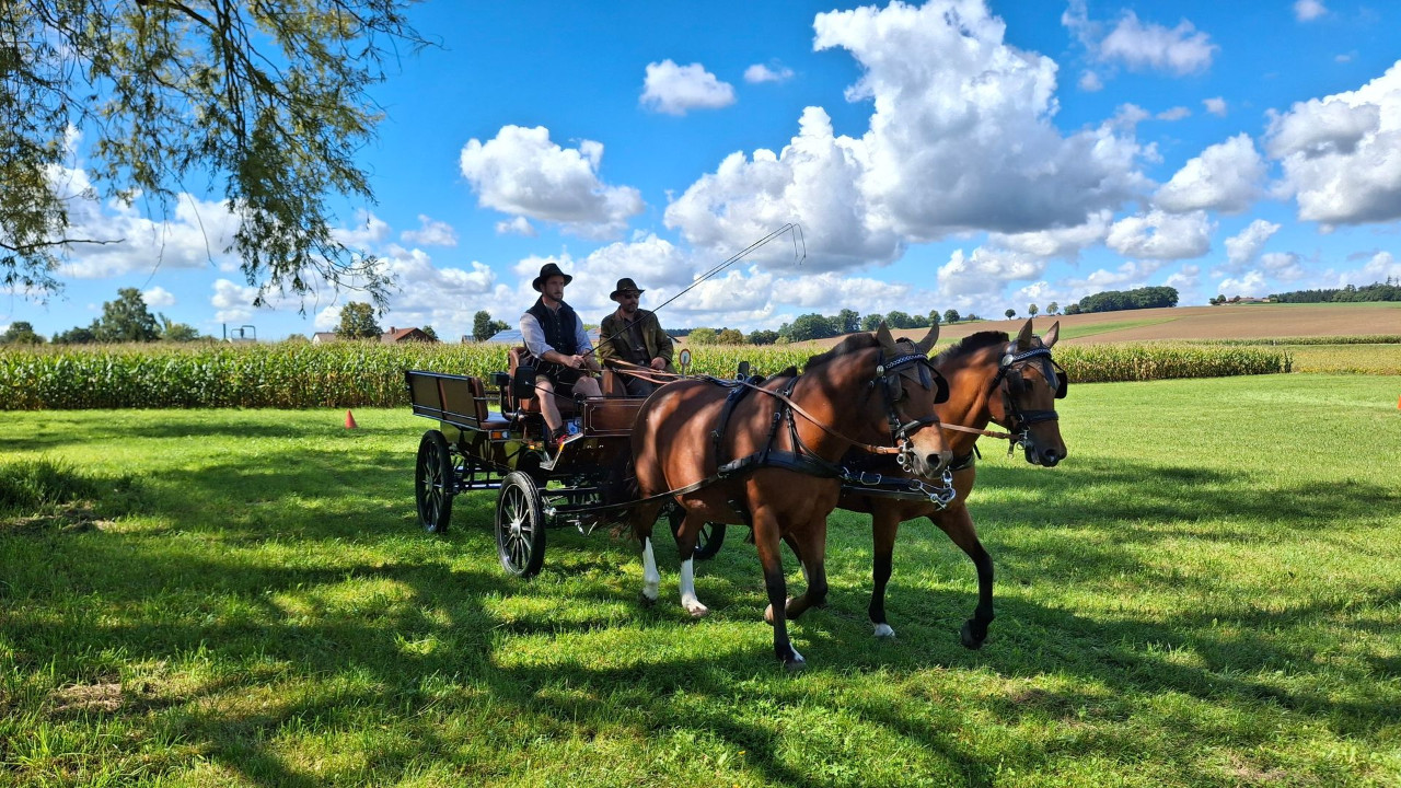 APRI Kurs Gewerbliches Fahren GF I und GF II