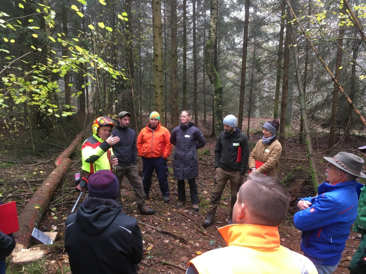 Infotag gewerbliches Holzrücken