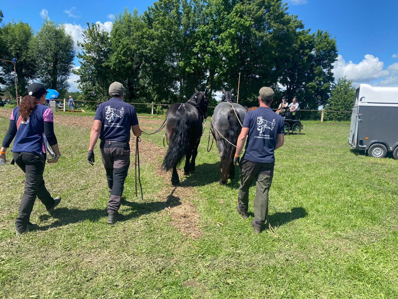 Kaltblut & Haflinger Sportfestival