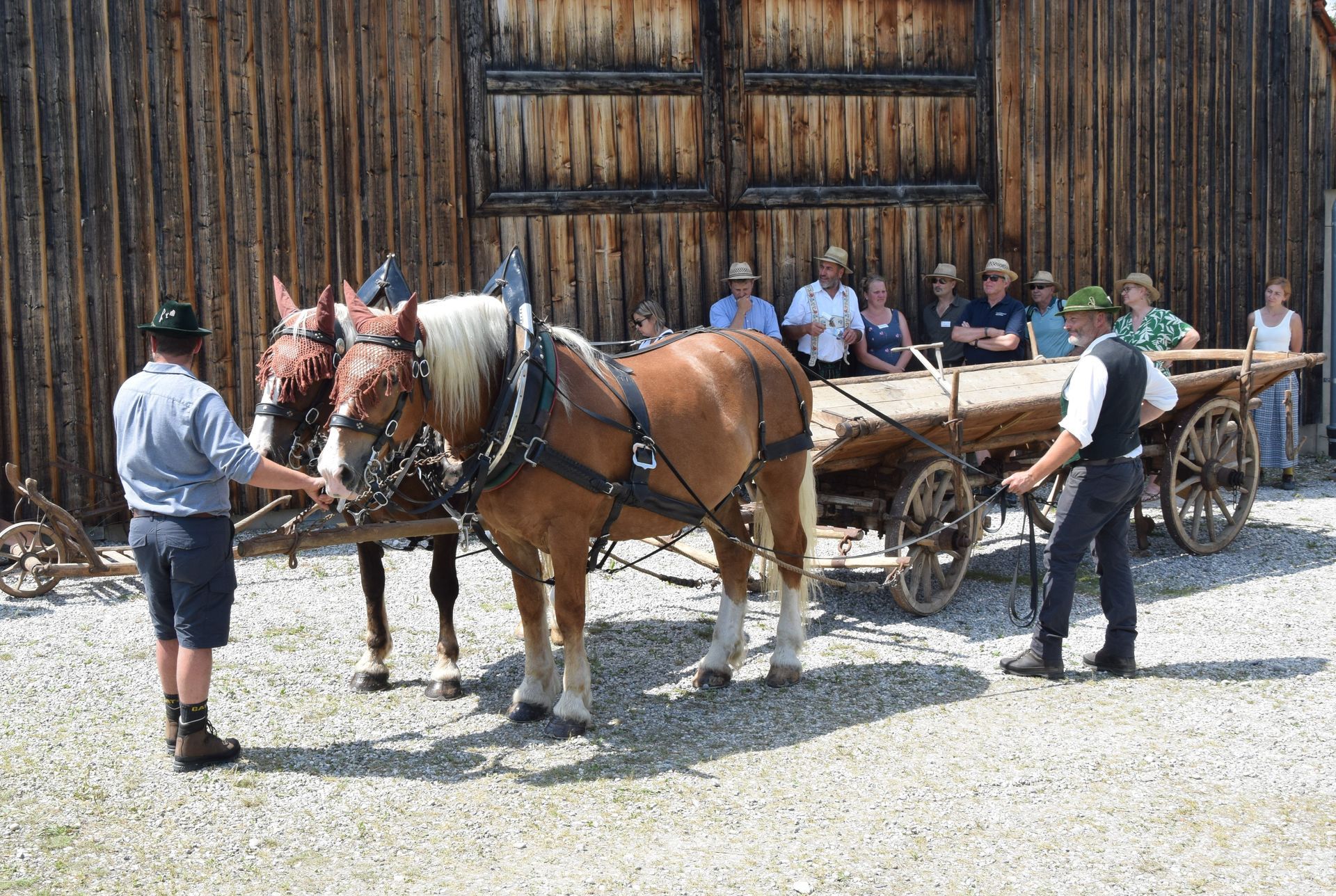 Nutztiertag im Freilandmuseum Glentleiten