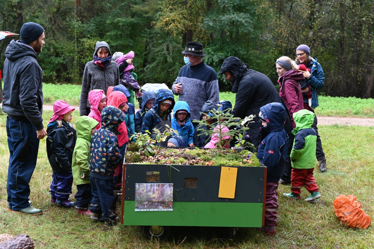Pferderücker im Waldkindergarten