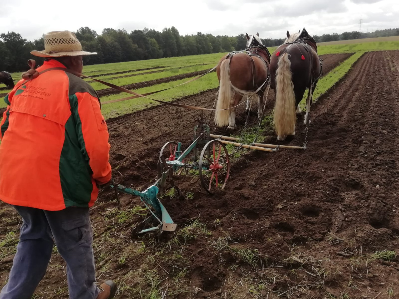 Deutsche Meisterschaft im Gespannpflügen 2022