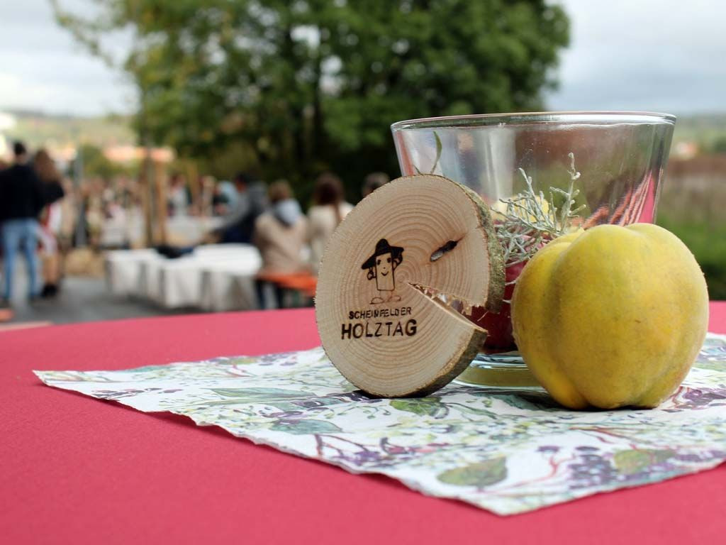 Scheinfelder Holztag