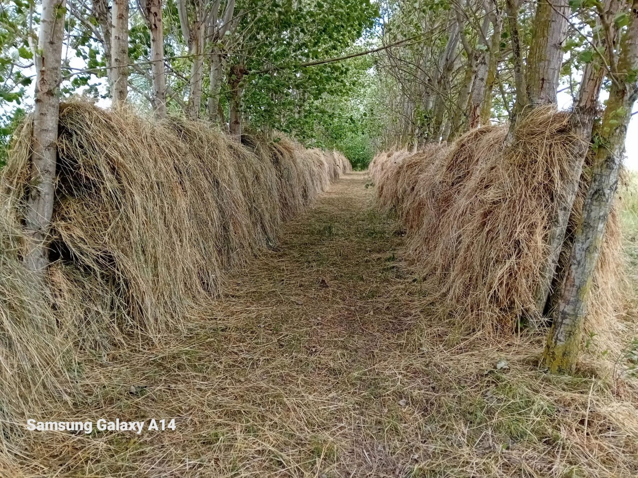 Sommerstammtisch 2023