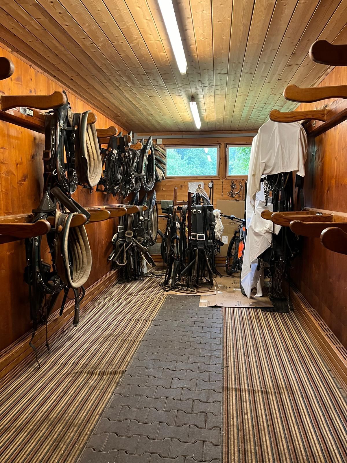 Sommerstammtisch 2024 - Kutschen Müller