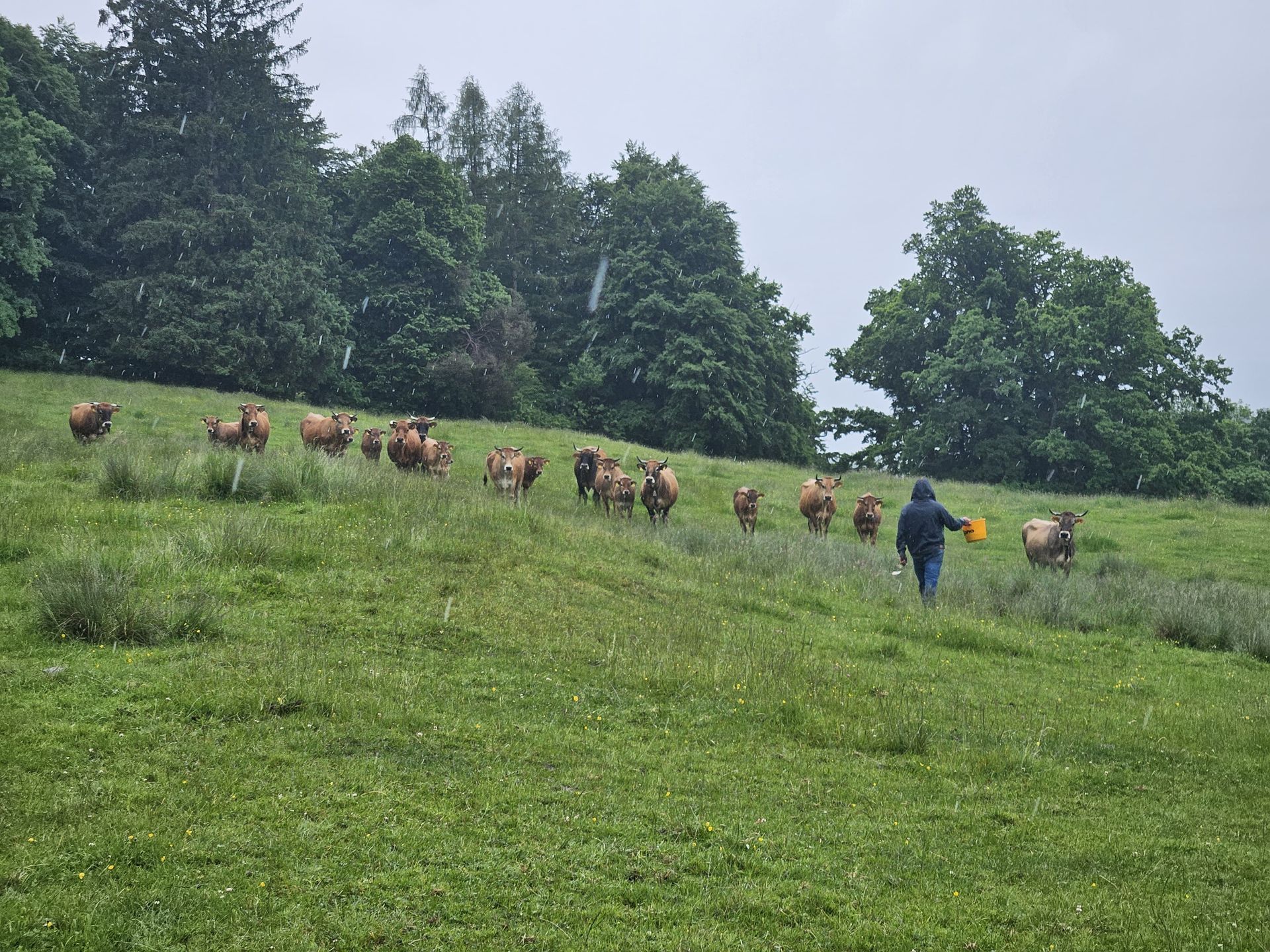 Sommerstammtisch 2025 - "Reif für die Insel"