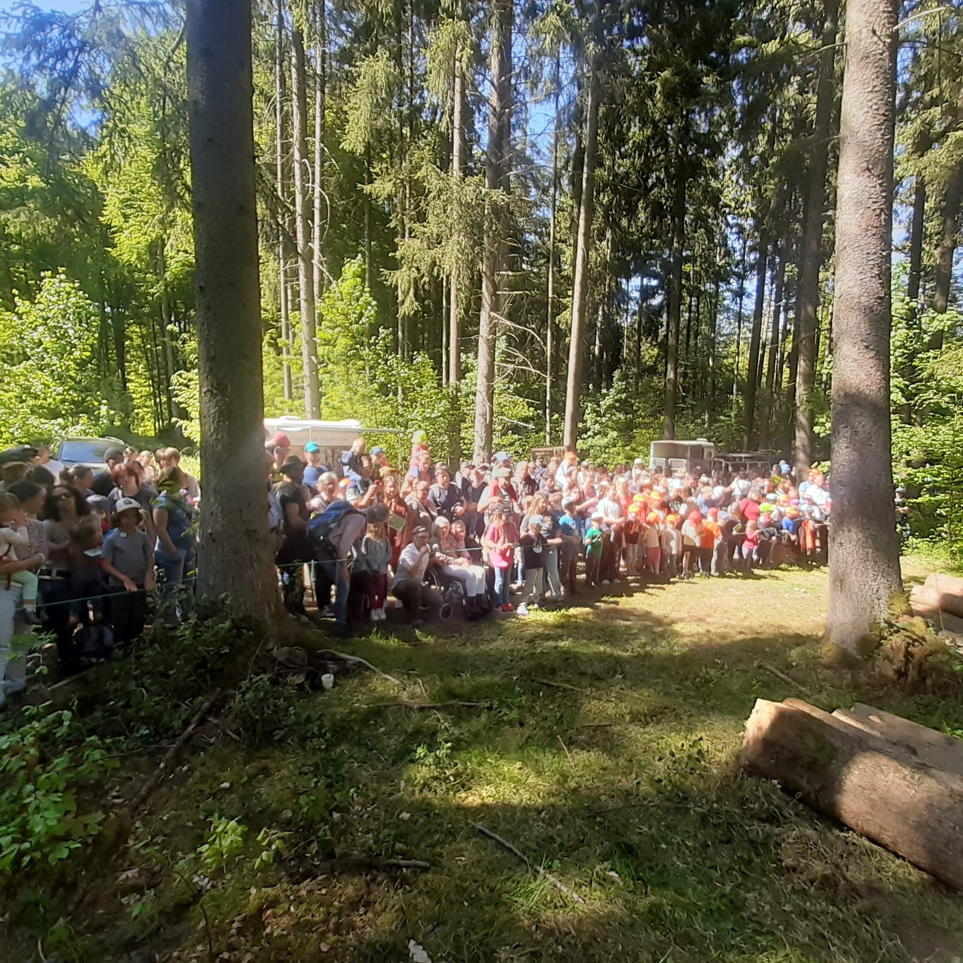 Waldfest in Schernfeld